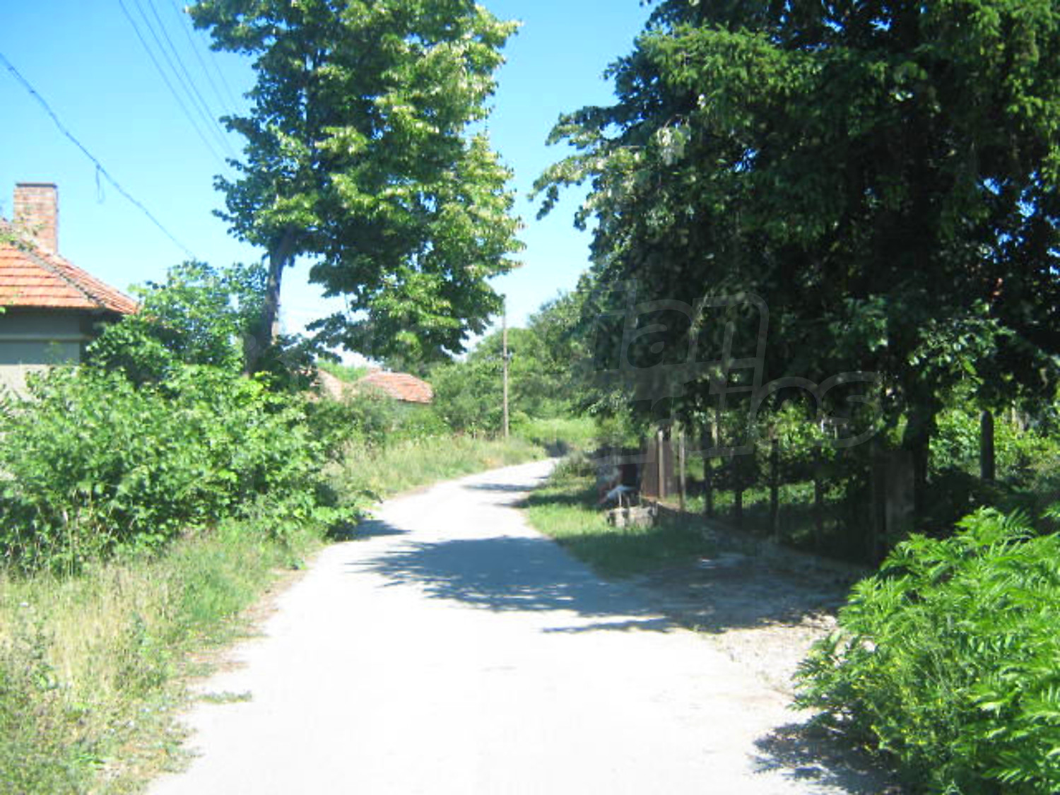Gallery Picture 13