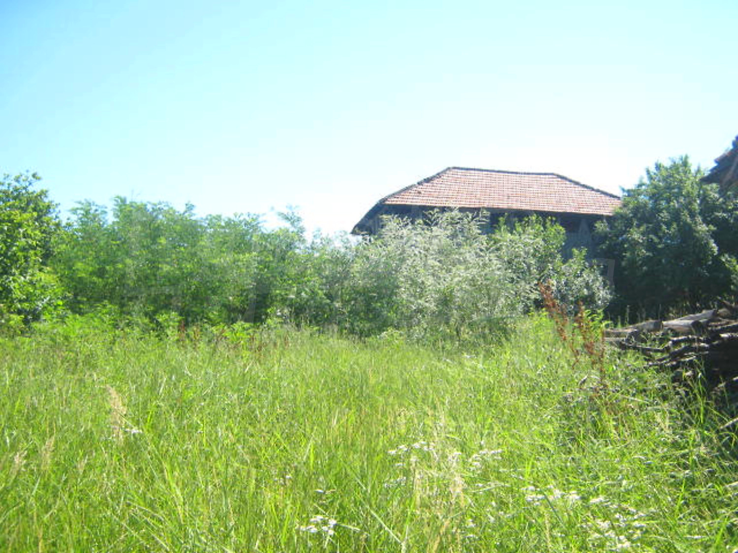 Gallery Picture 9