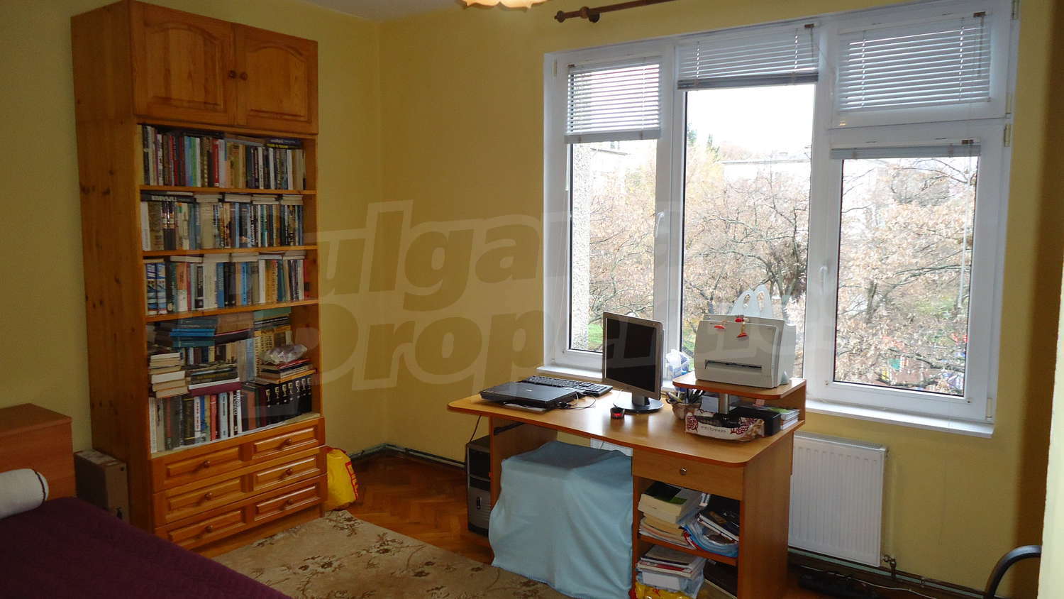 Gallery Picture 13