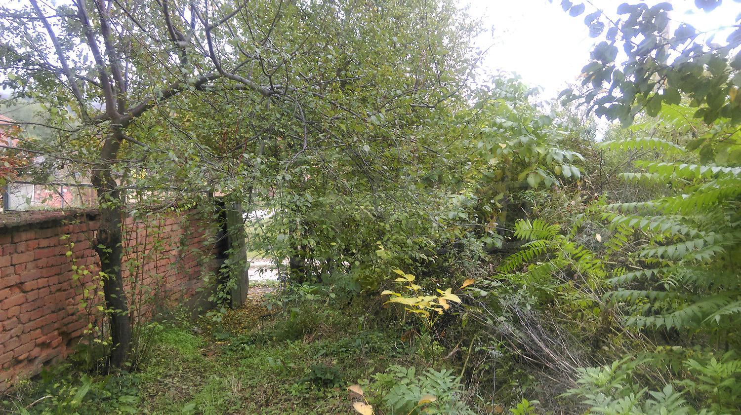 Gallery Picture 10