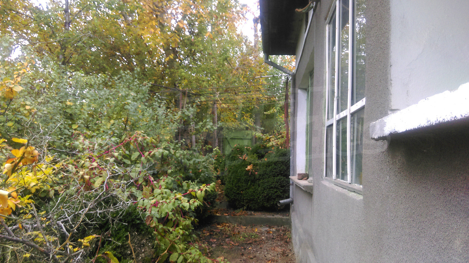 Gallery Picture 14