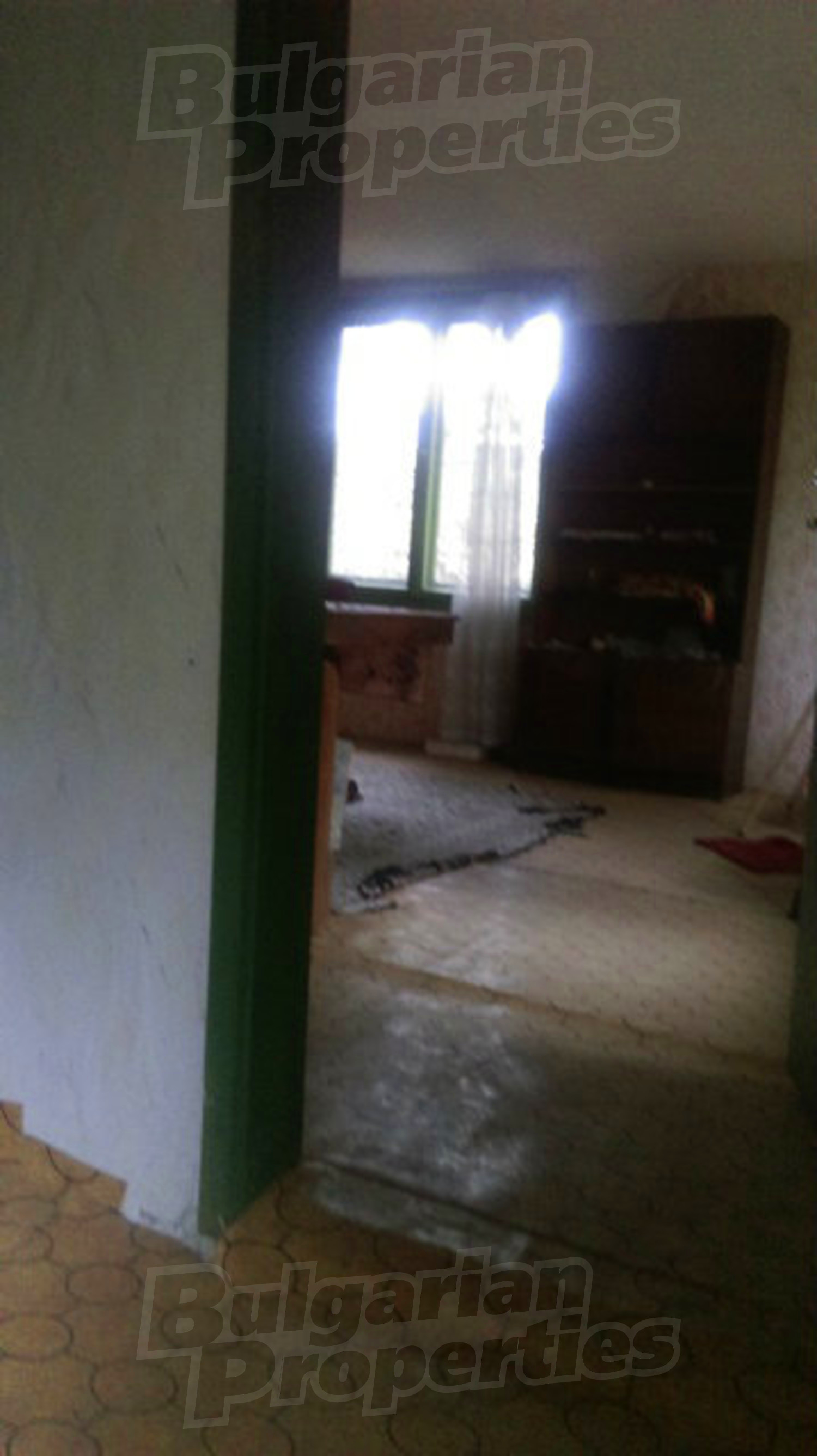 Gallery Picture 39