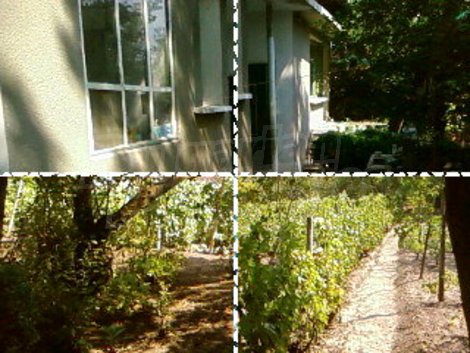 Gallery Picture 6