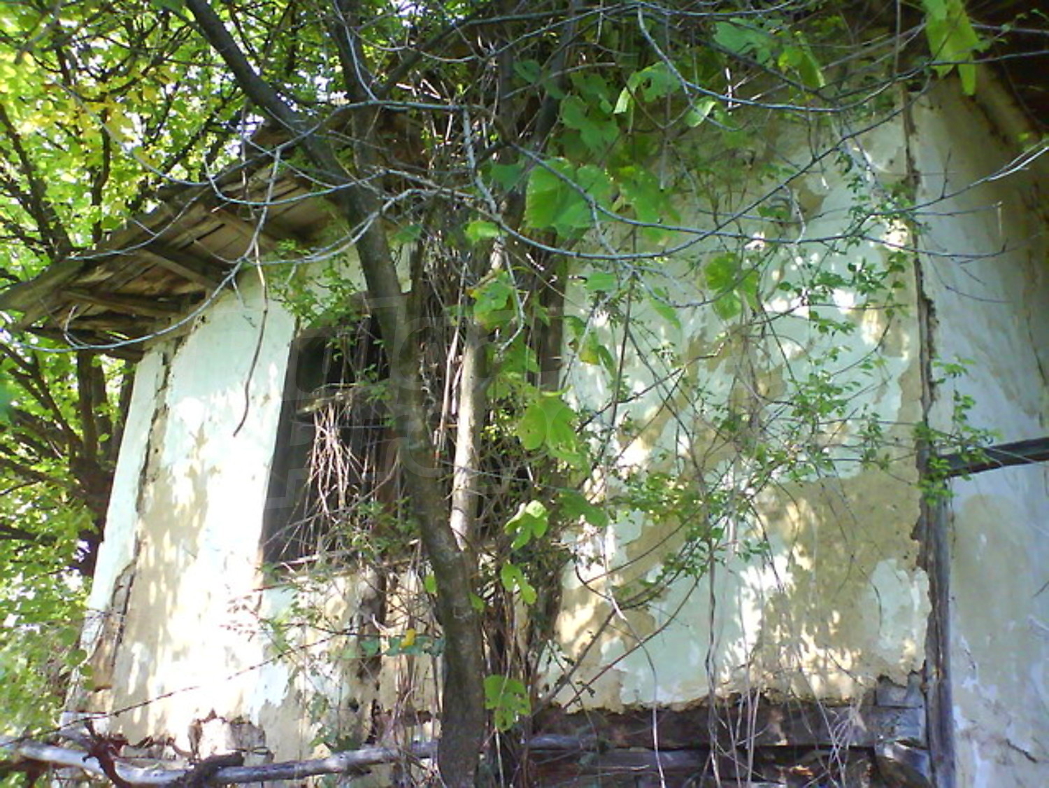 Gallery Picture 6