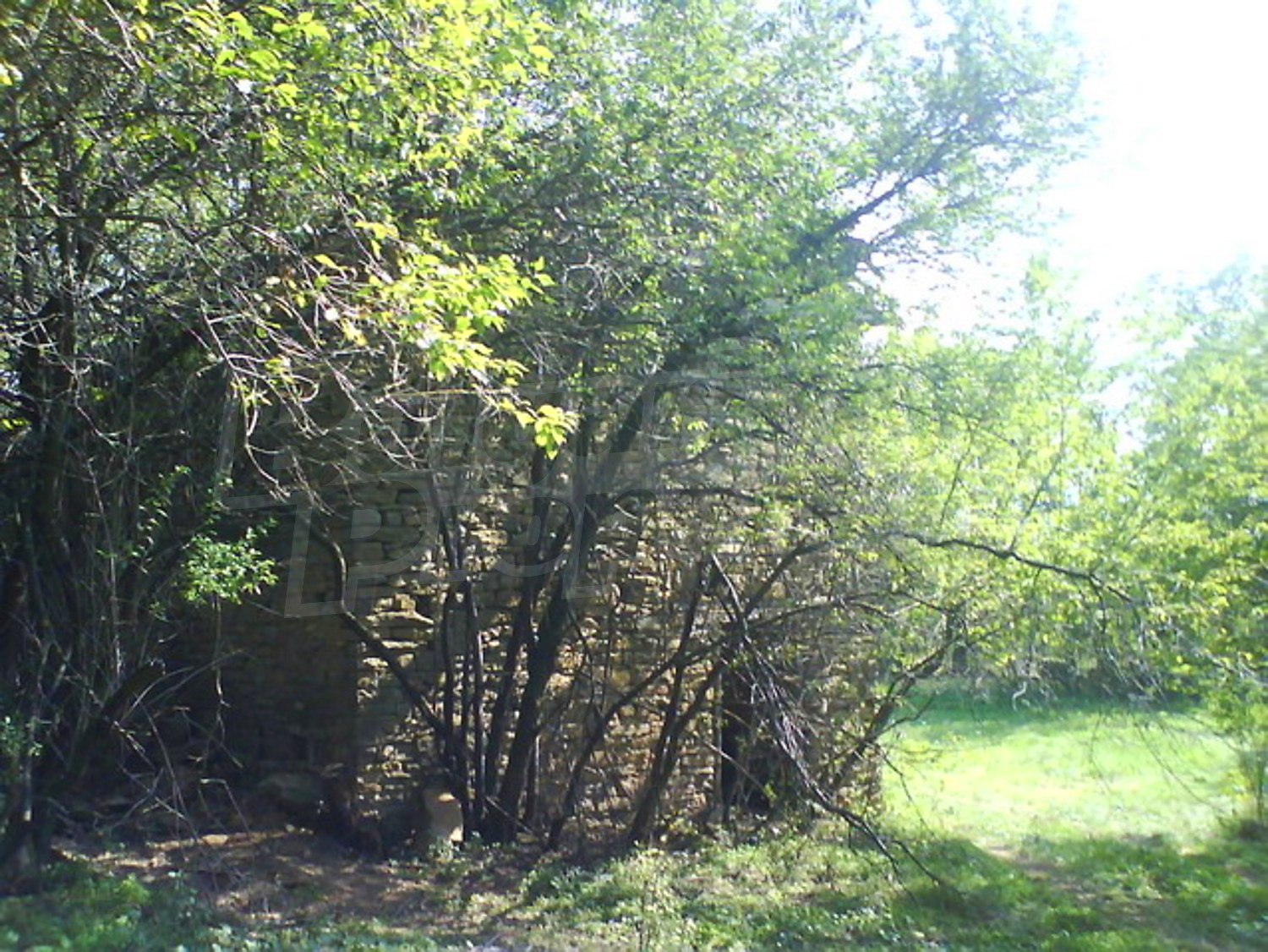 Gallery Picture 7