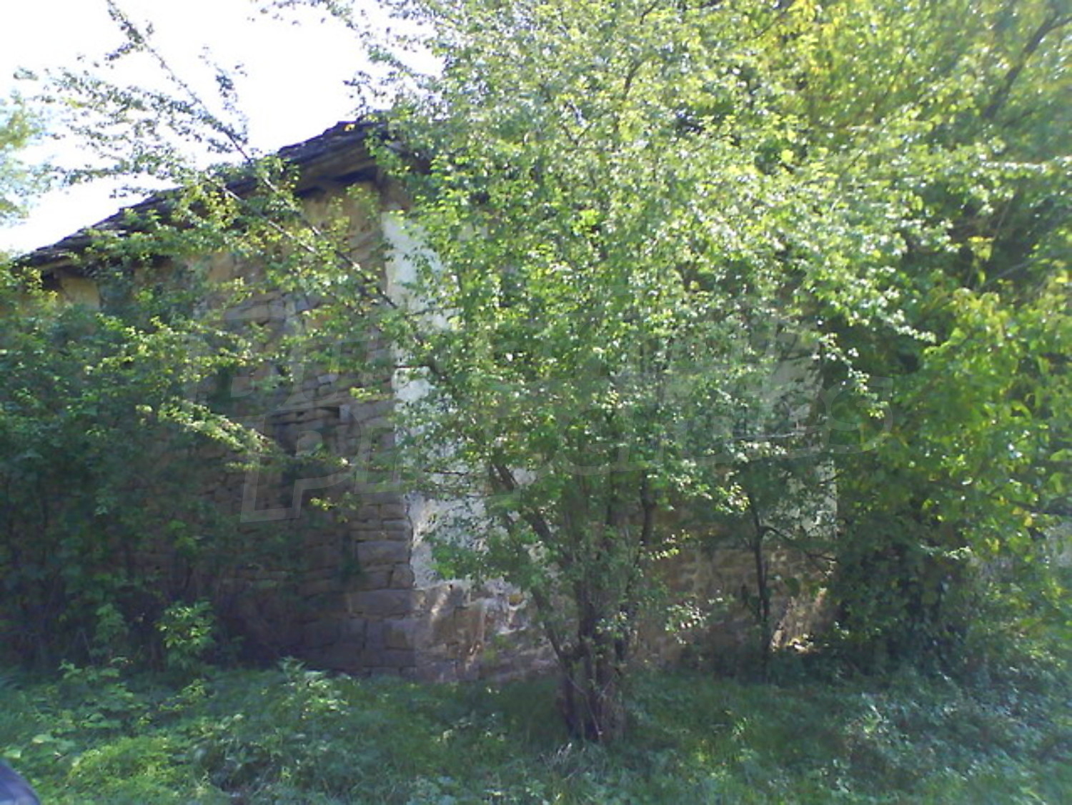 Gallery Picture 9