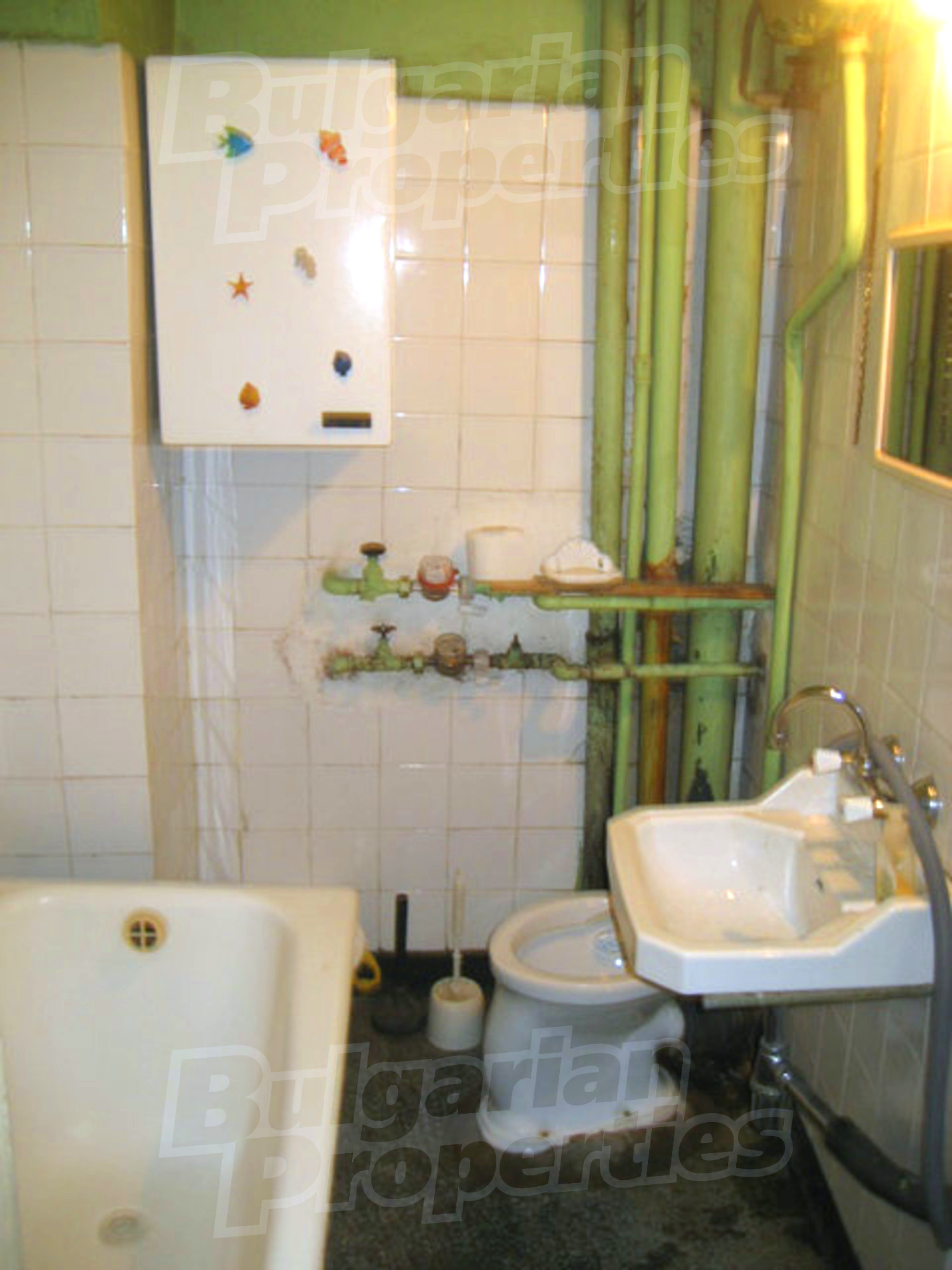 Gallery Picture 10