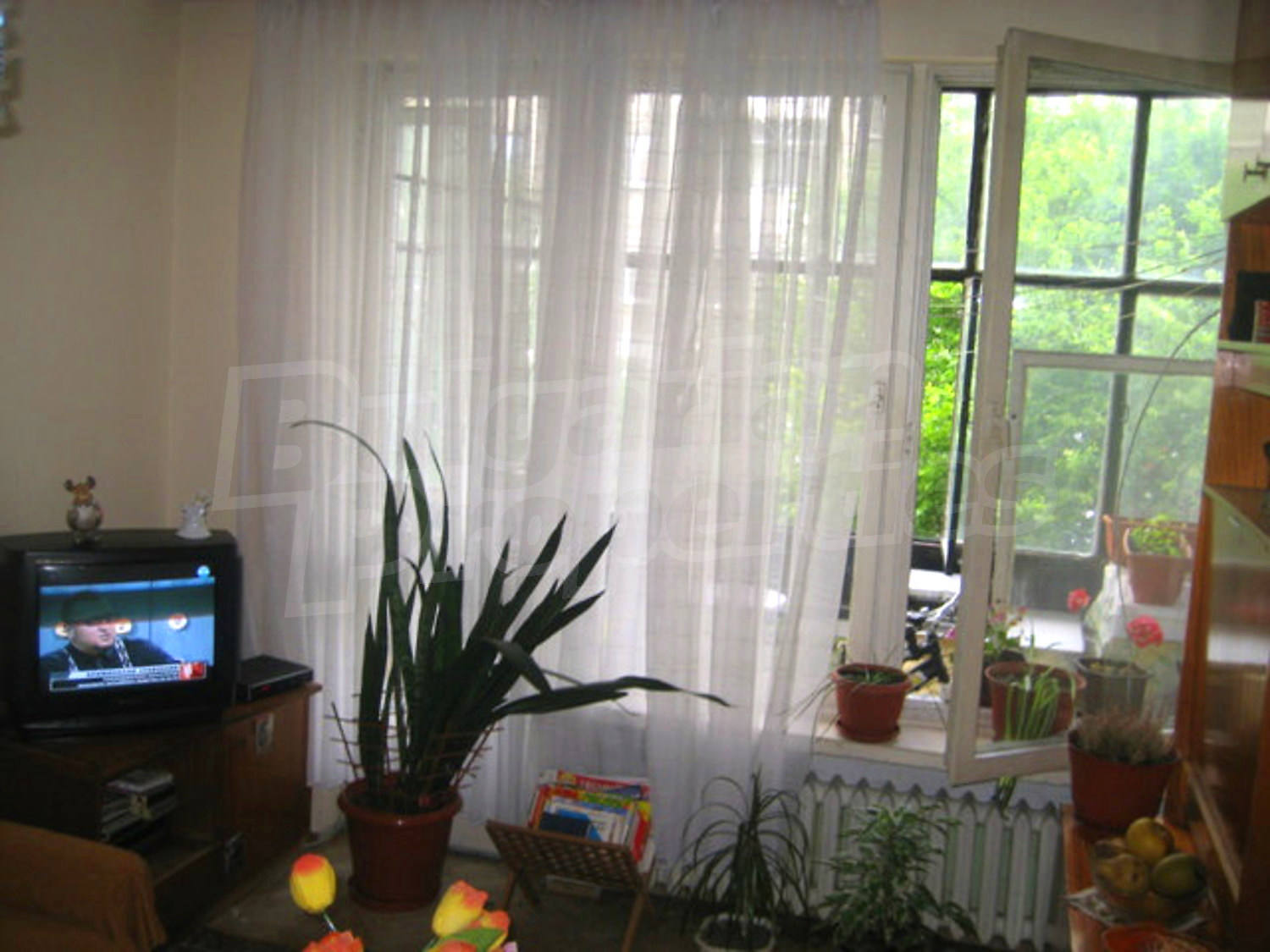 Gallery Picture 2