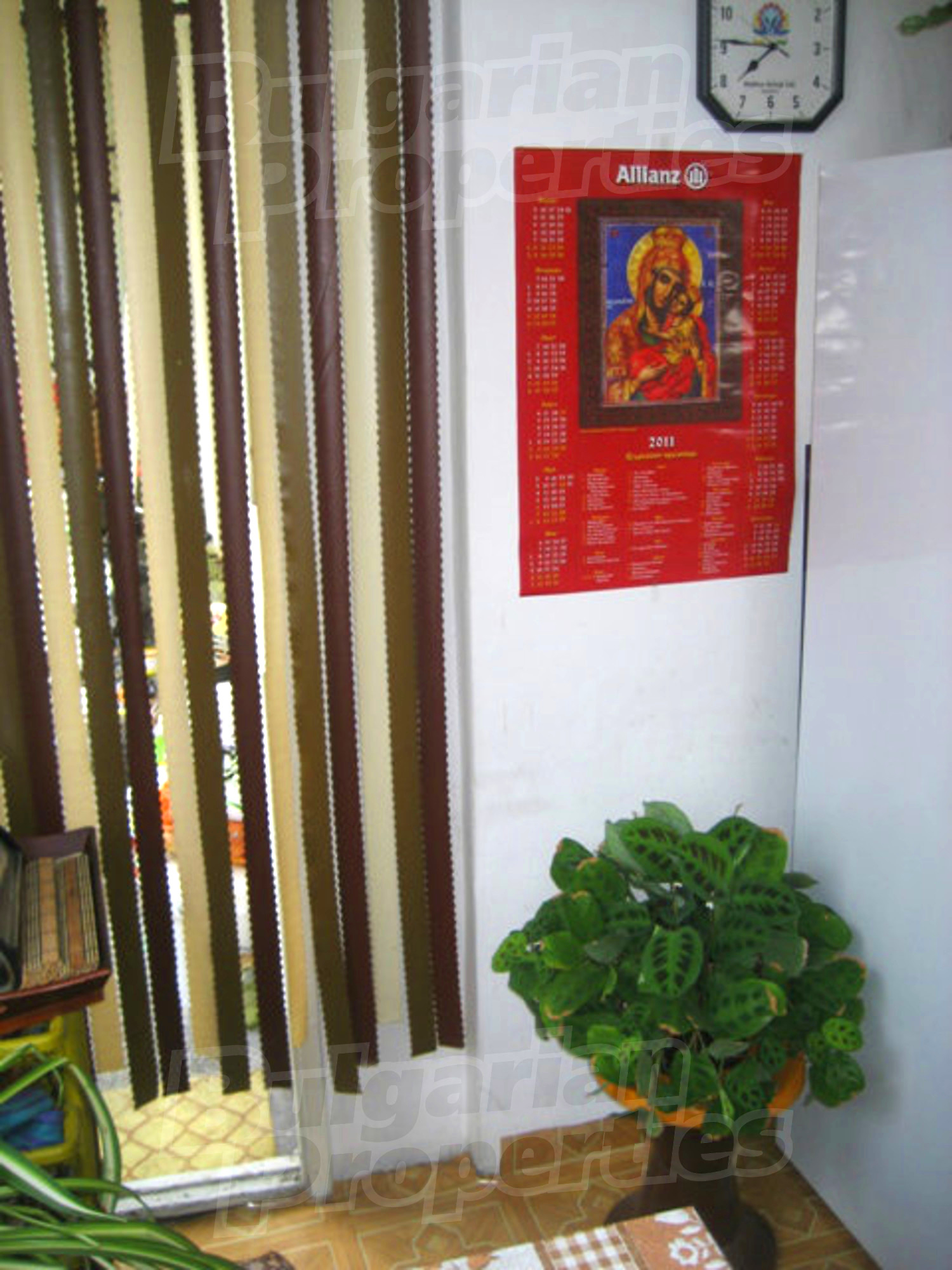 Gallery Picture 5