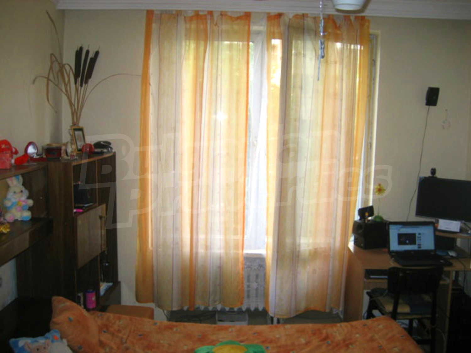 Gallery Picture 8