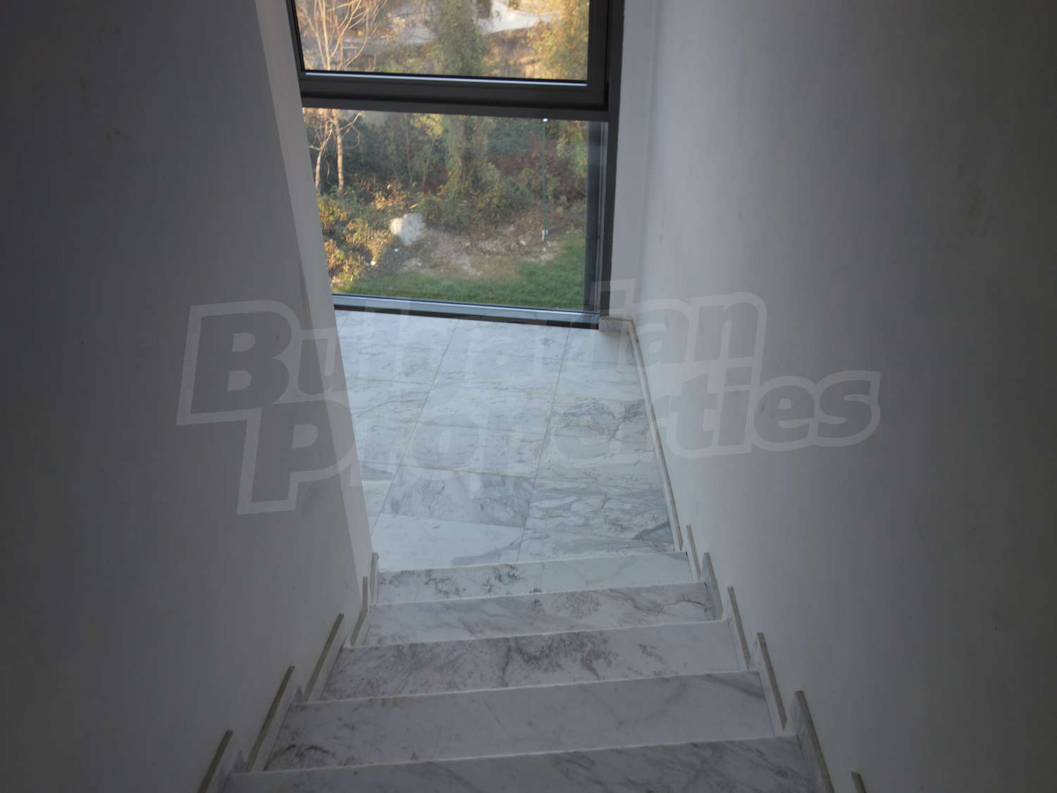 Gallery Picture 29