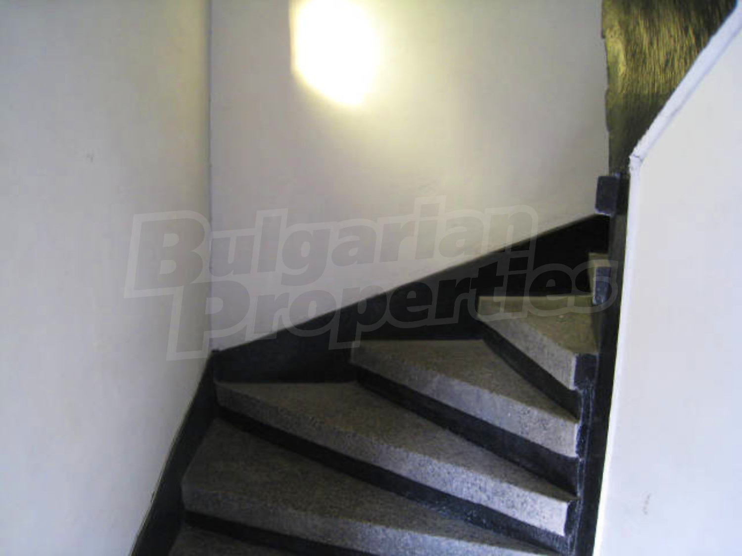 Gallery Picture 15