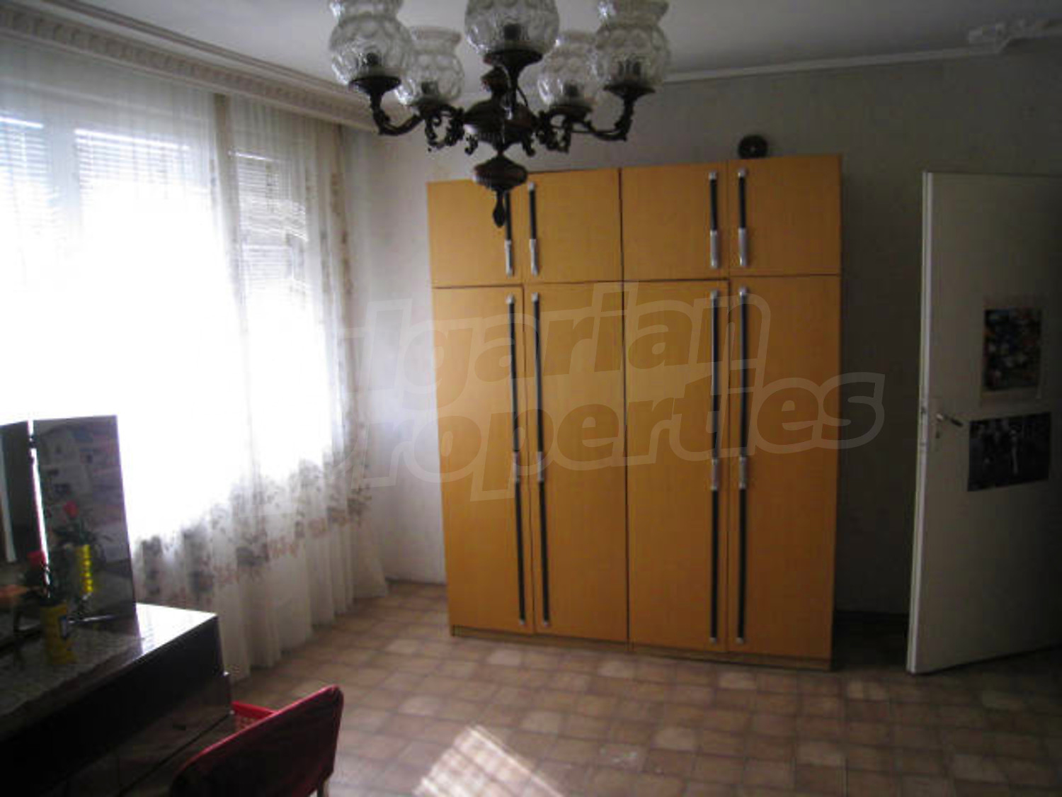Gallery Picture 19