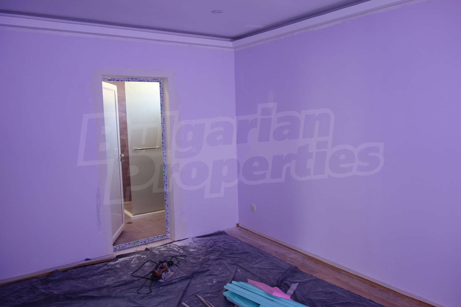 Gallery Picture 12