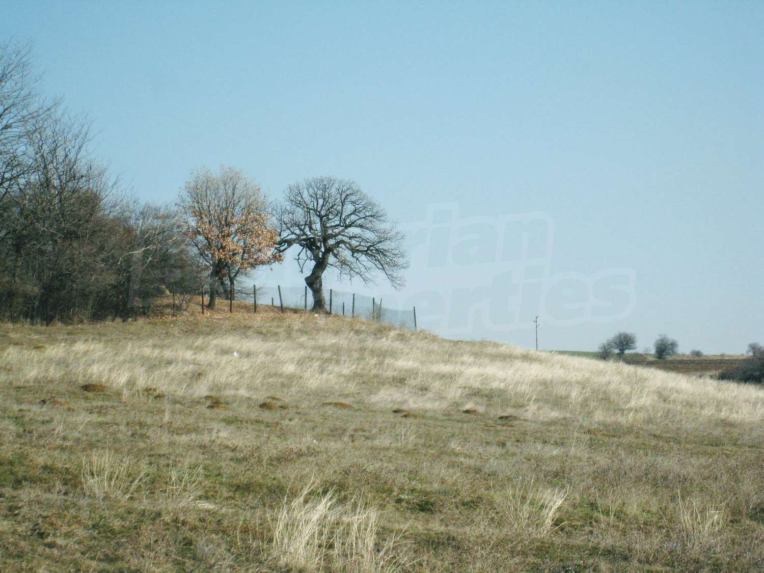 Gallery Picture 9