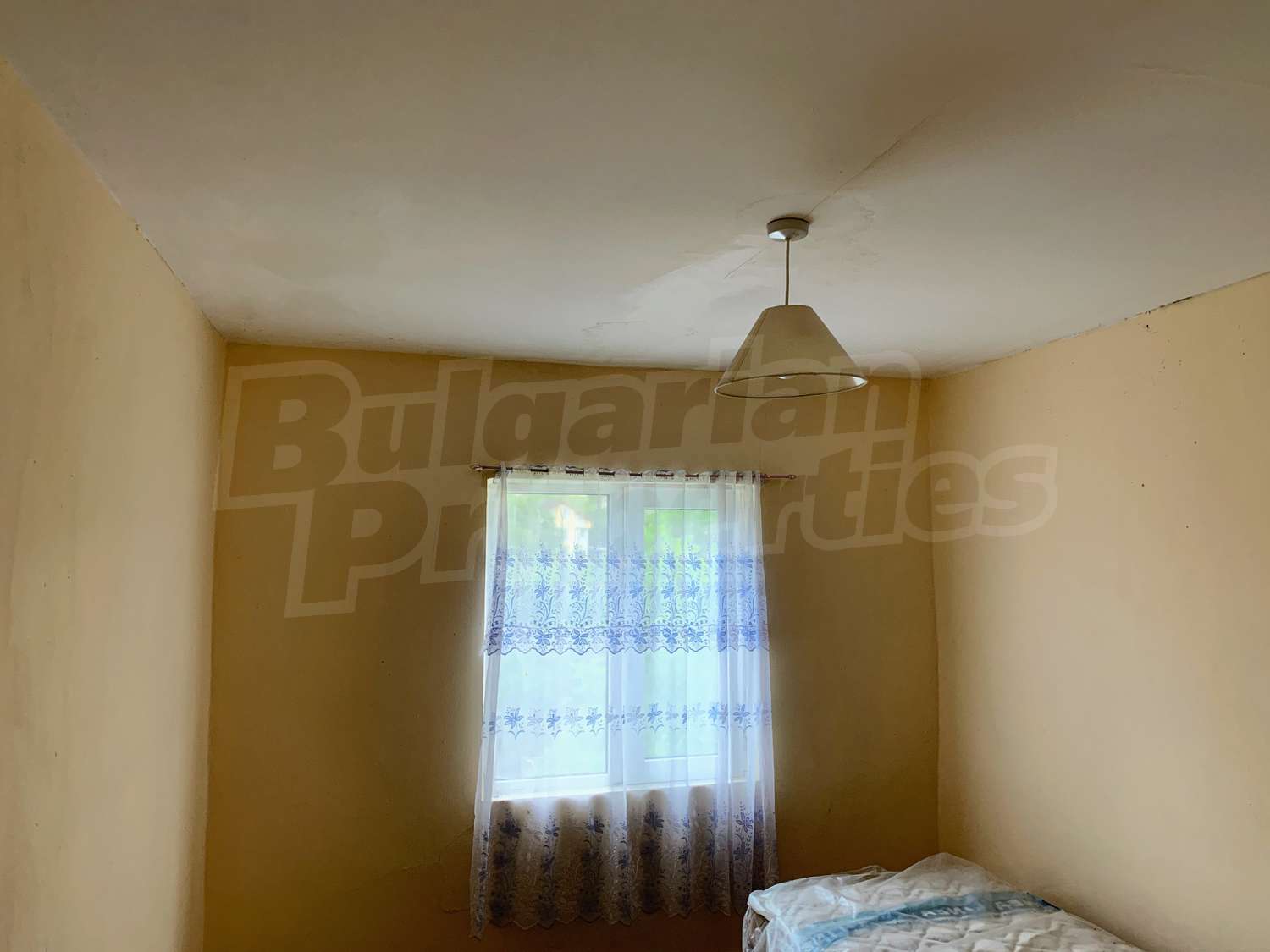 Gallery Picture 24