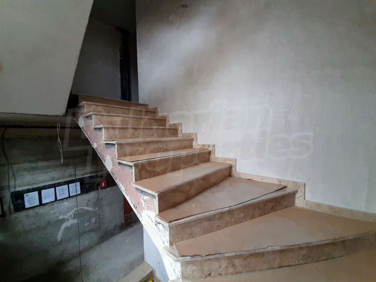 Gallery Picture 8