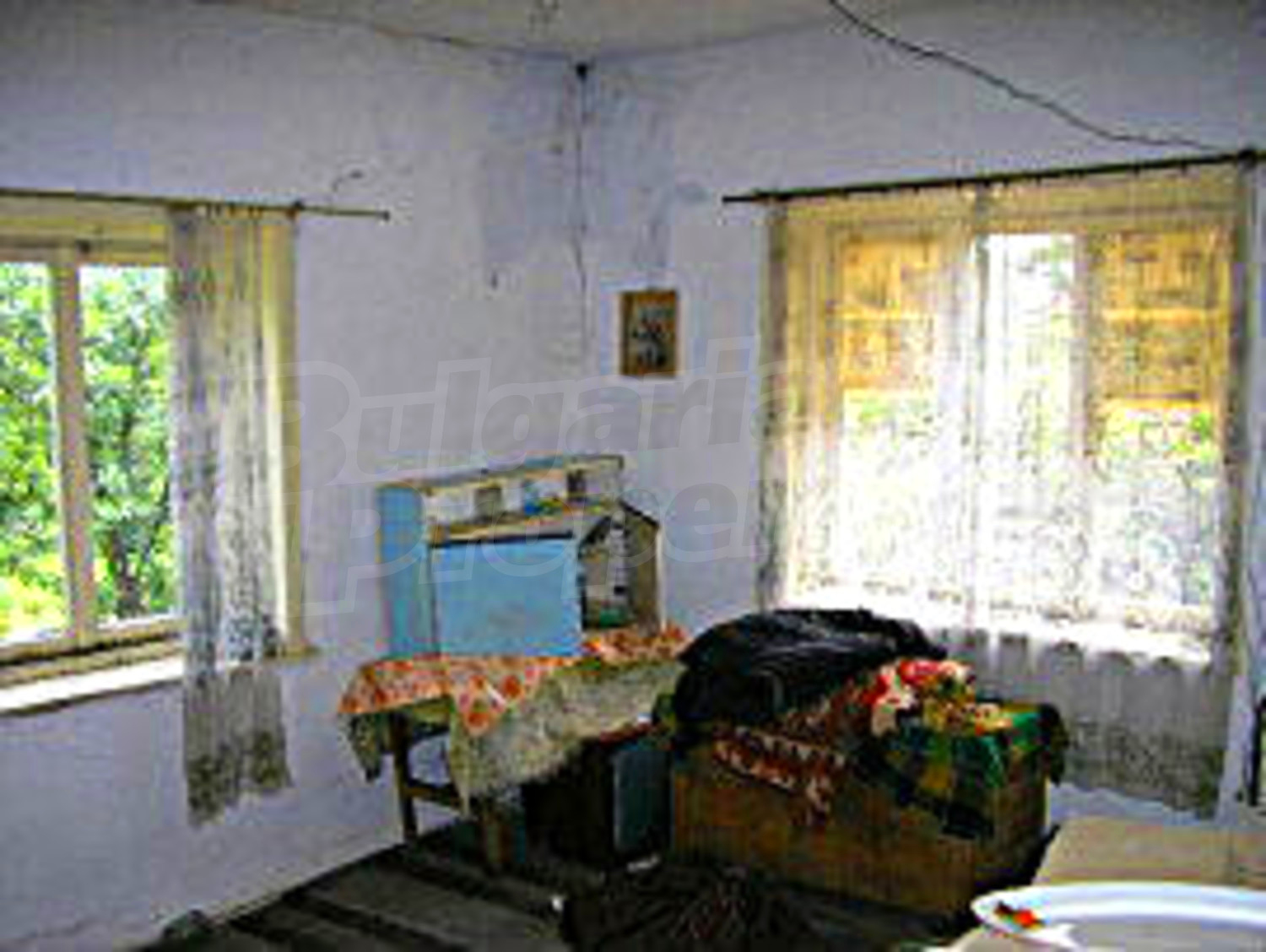 Gallery Picture 10