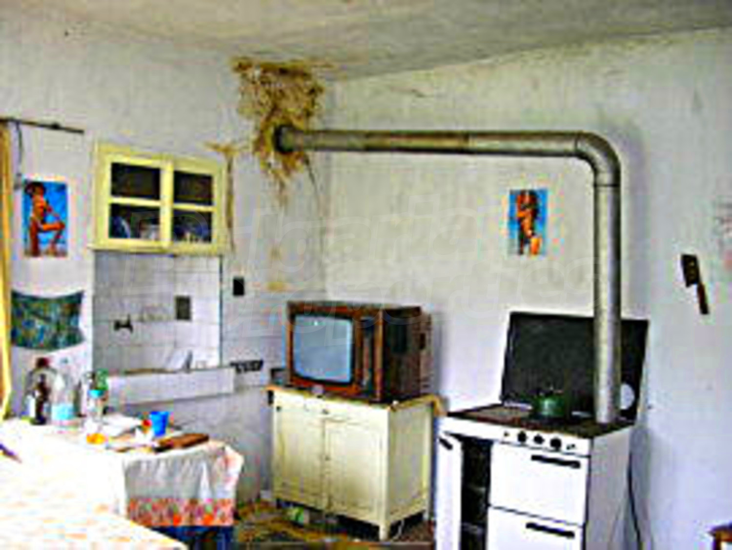 Gallery Picture 11