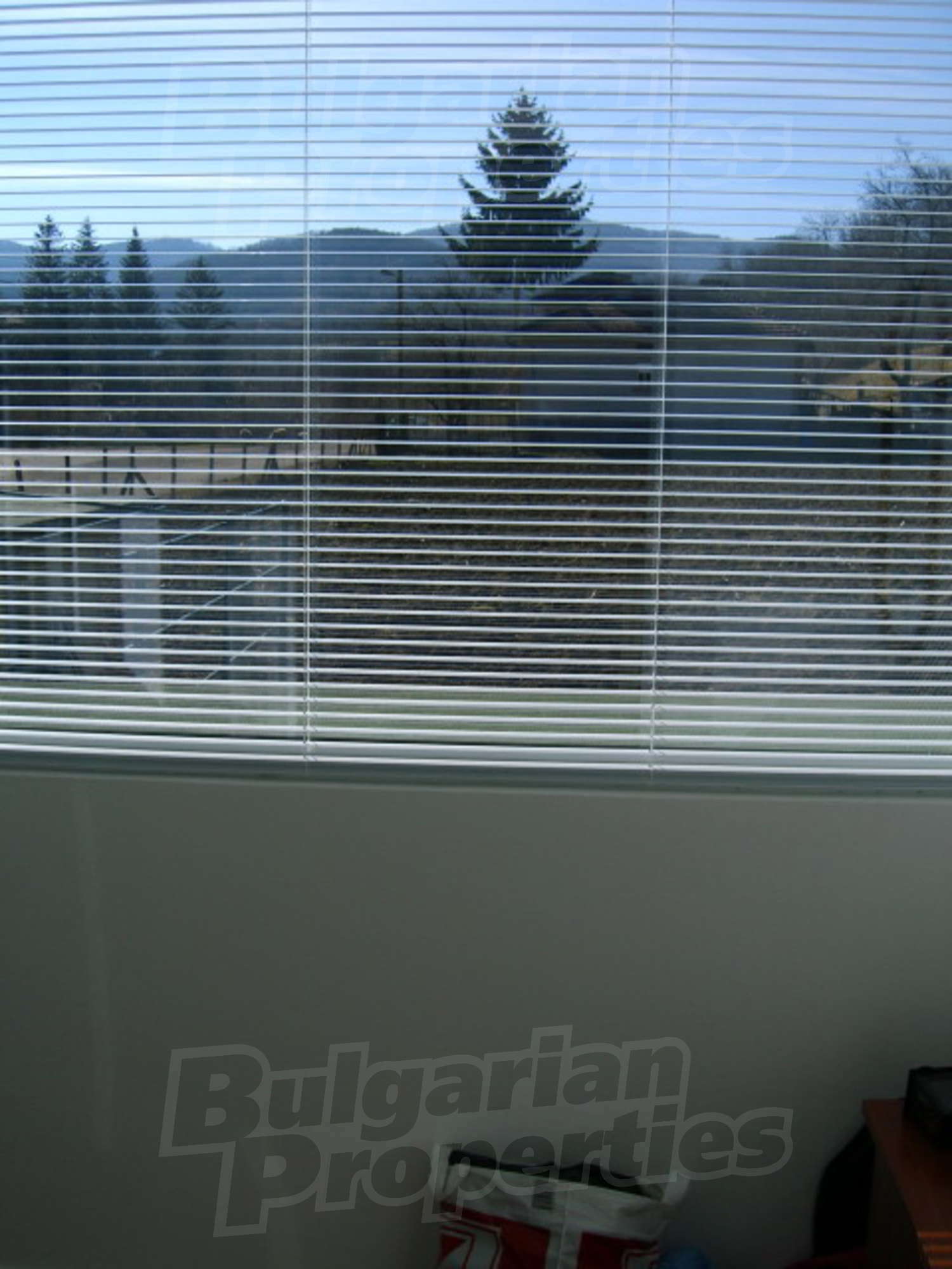 Gallery Picture 22