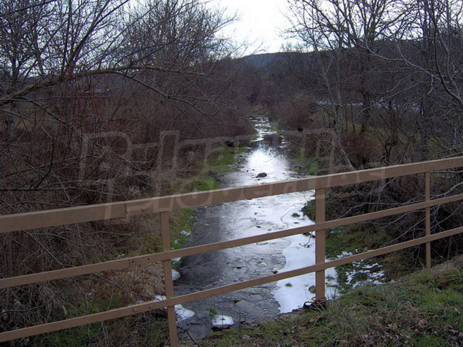 Gallery Picture 26