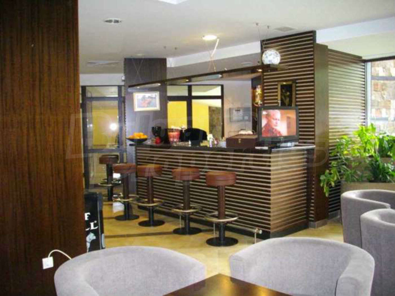 Gallery Picture 23