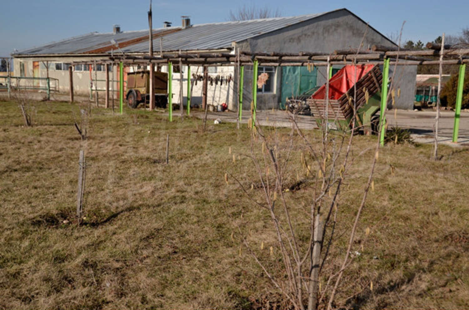 Farm for sale near Dobrich, Bulgaria. Dairy cattle farm “Kobe”.