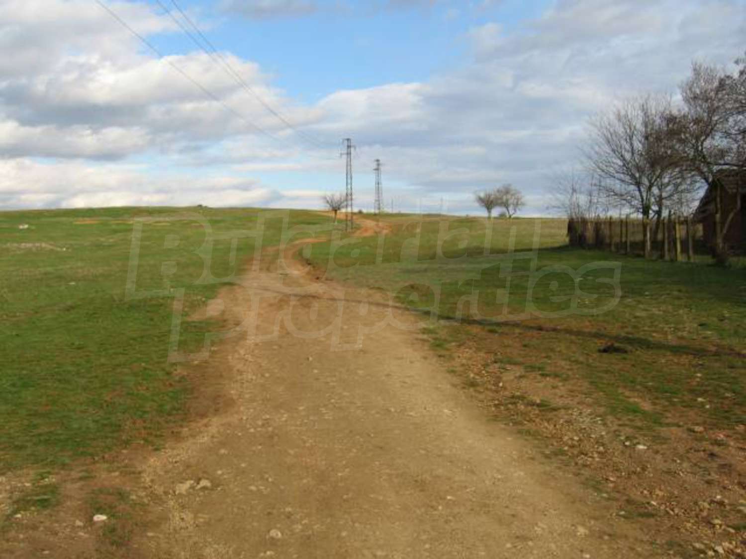 Gallery Picture 9