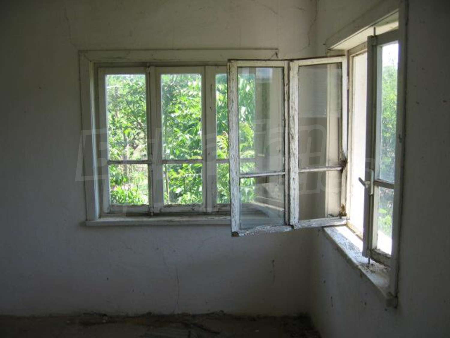 Gallery Picture 6