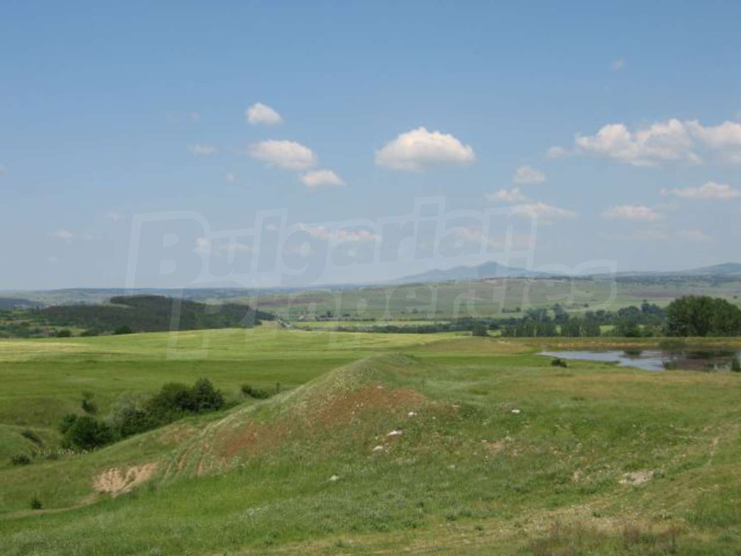 Gallery Picture 9