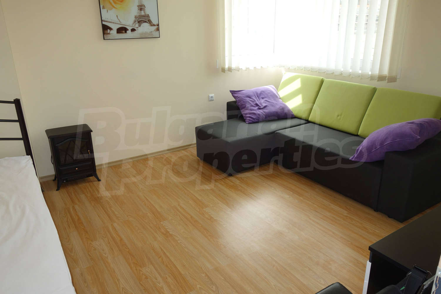 Gallery Picture 11