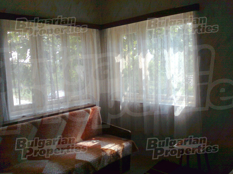 Gallery Picture 19