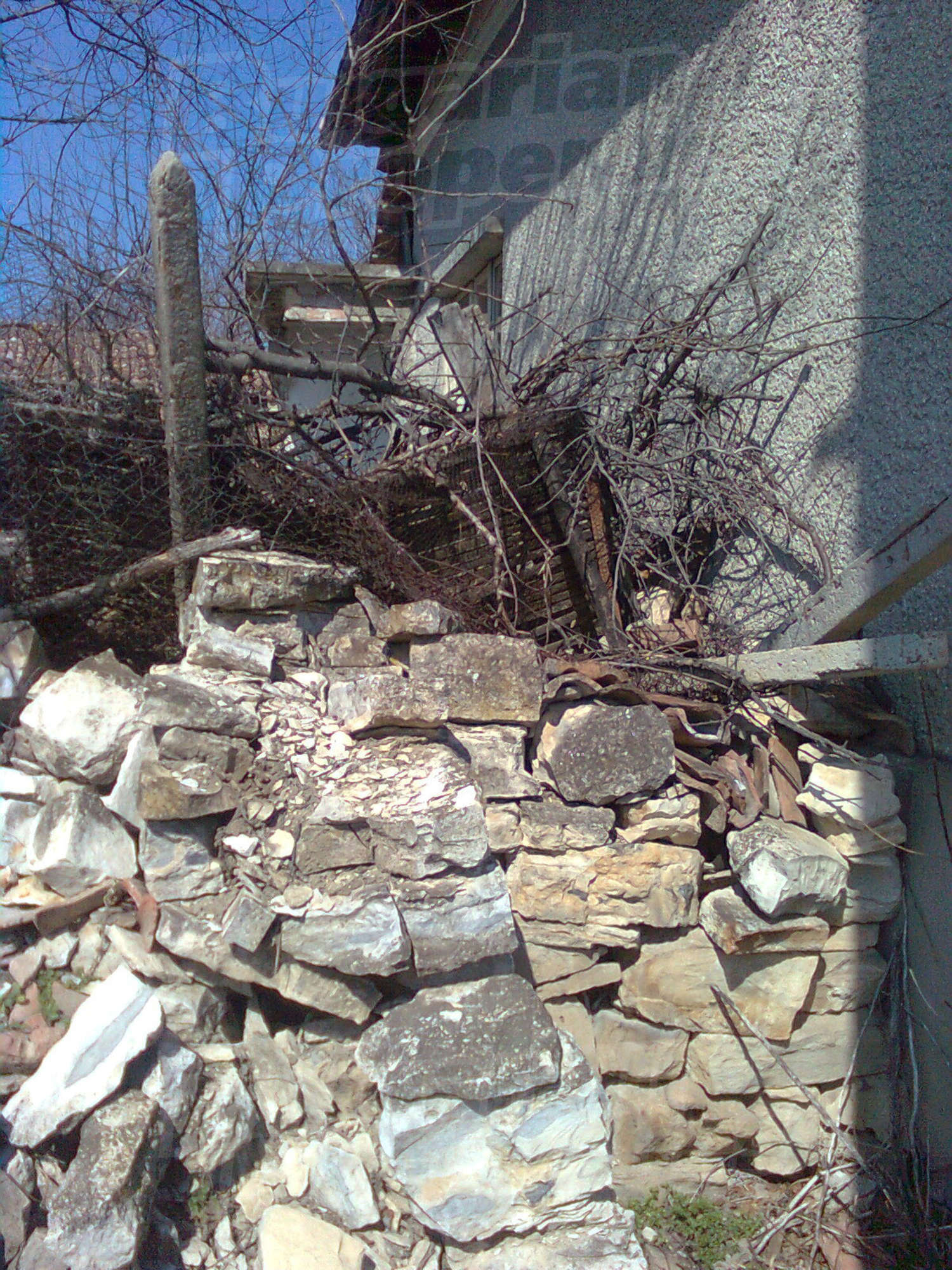 Gallery Picture 26