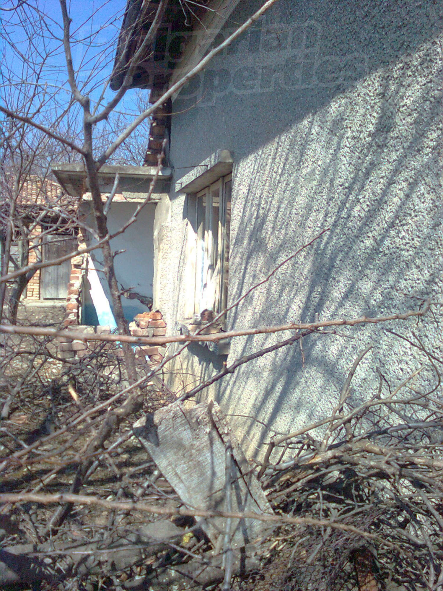 Gallery Picture 27