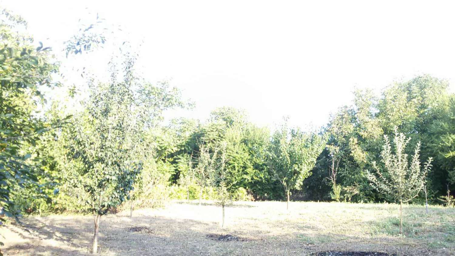 Gallery Picture 6