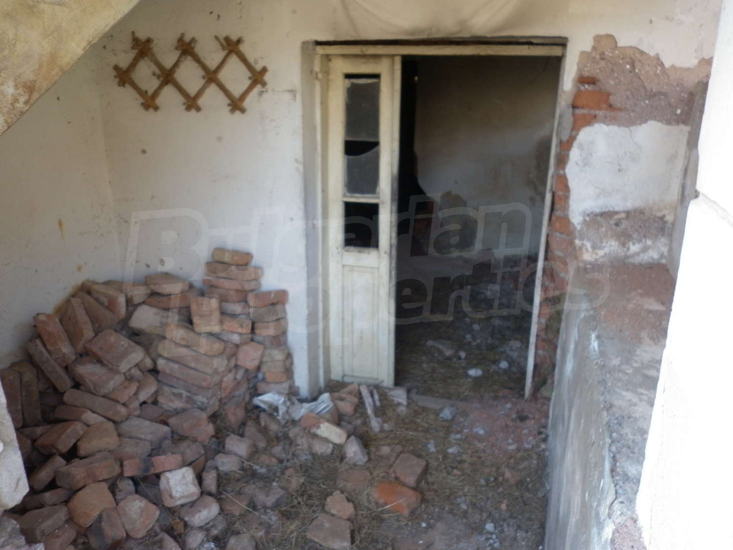 Gallery Picture 19