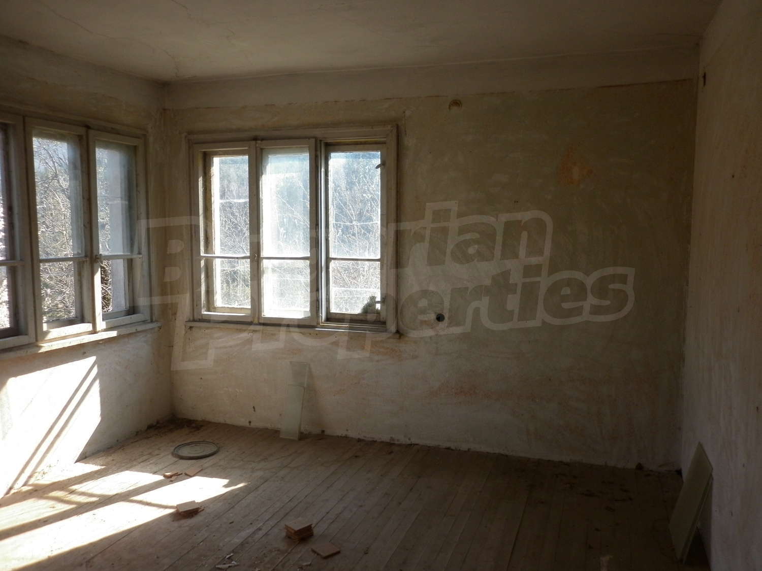 Gallery Picture 20