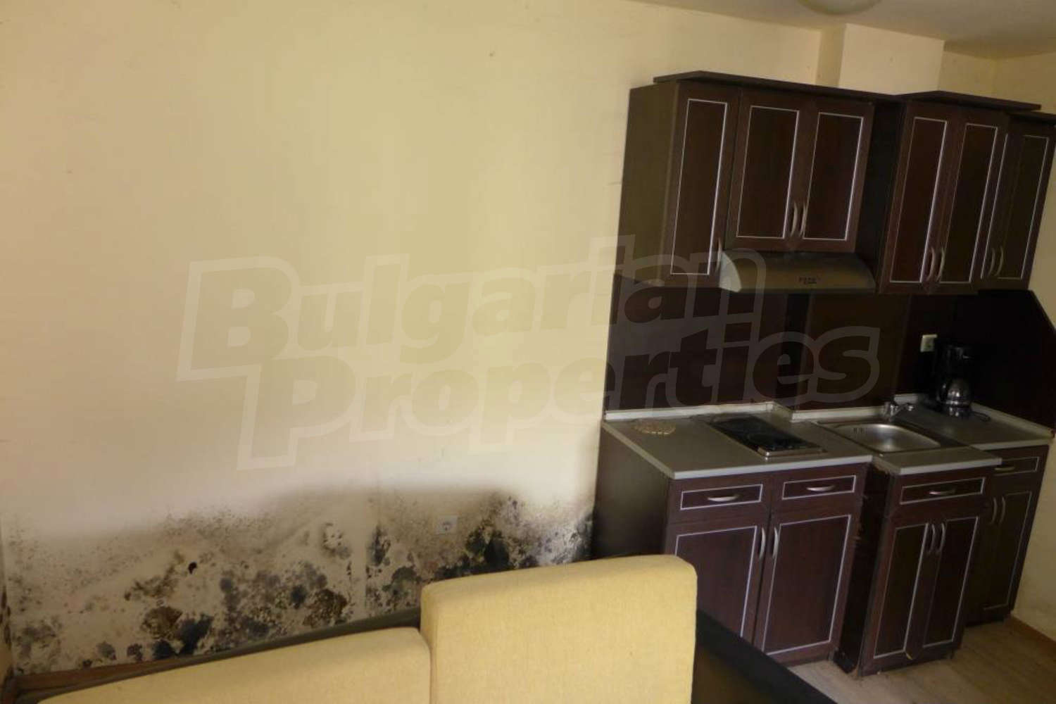 Gallery Picture 7