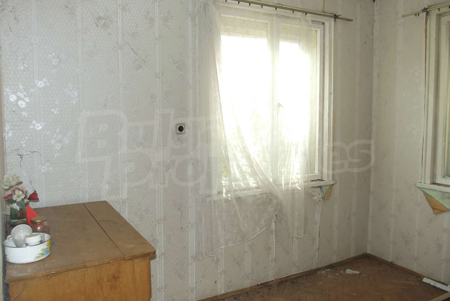 Gallery Picture 12