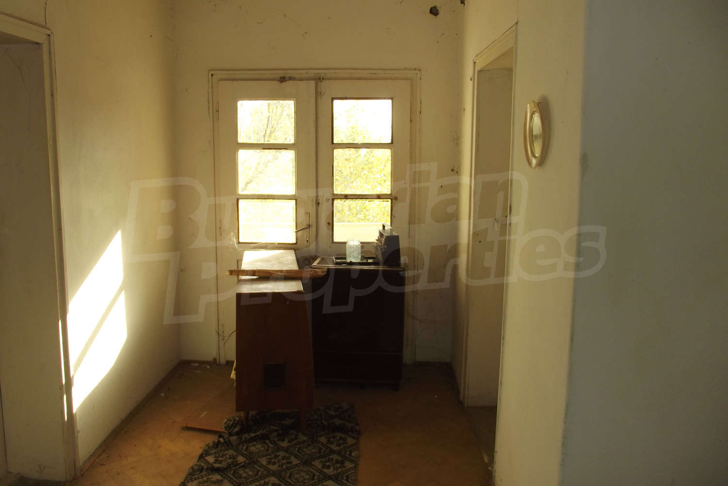 Gallery Picture 19