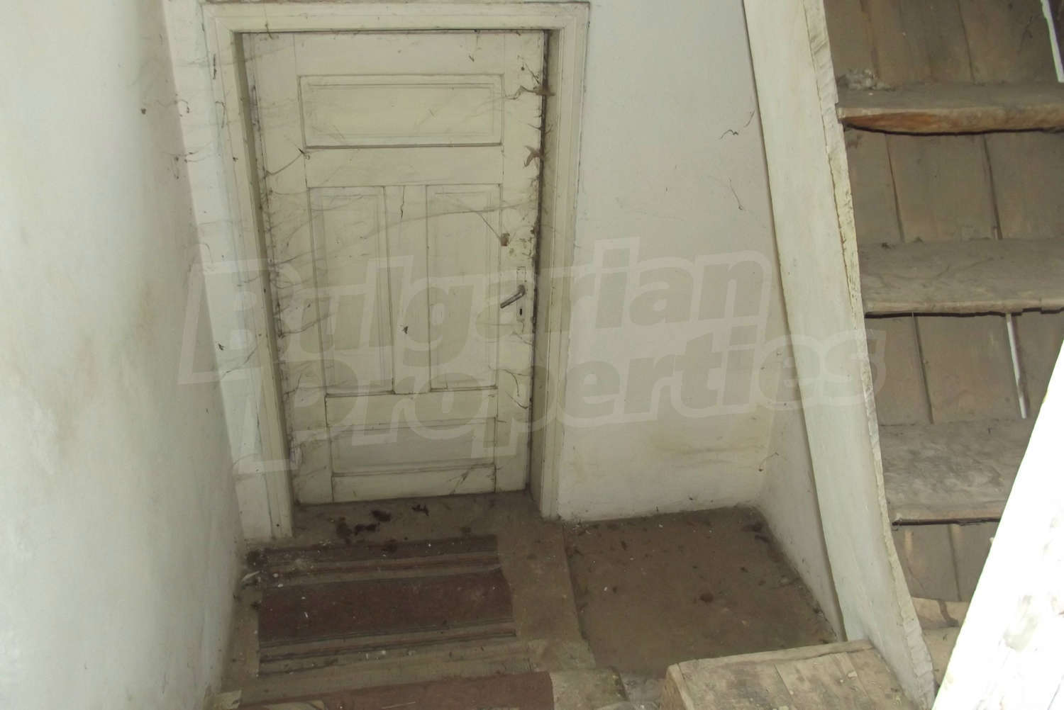 Gallery Picture 20