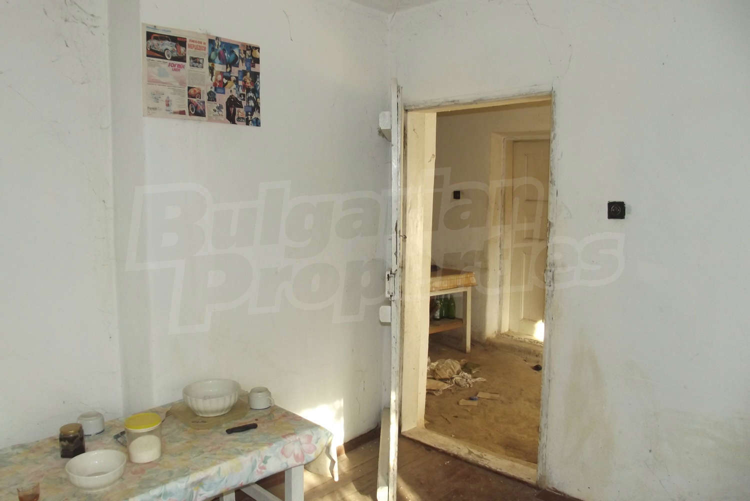 Gallery Picture 32