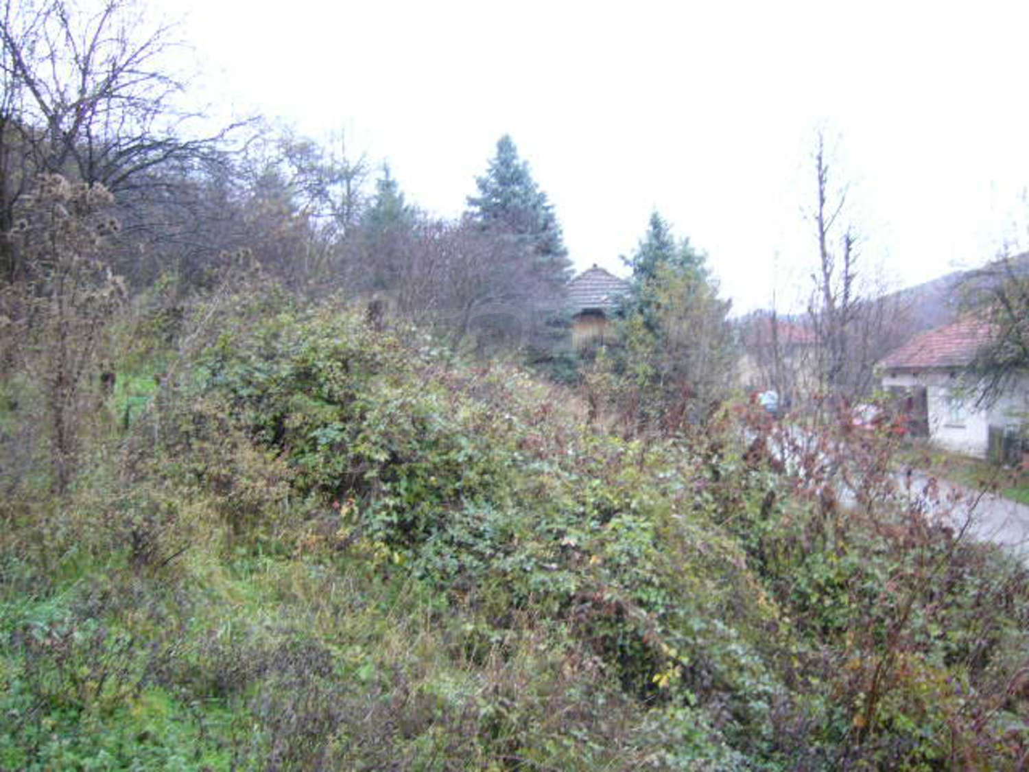 Gallery Picture 13