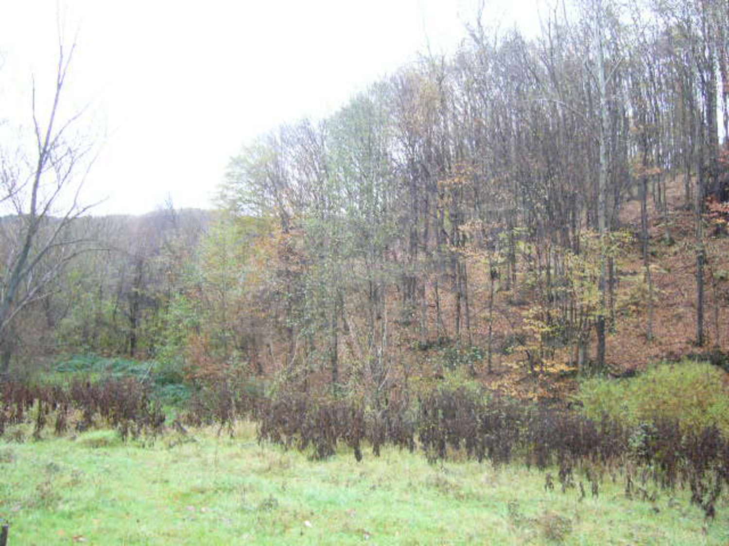 Gallery Picture 6