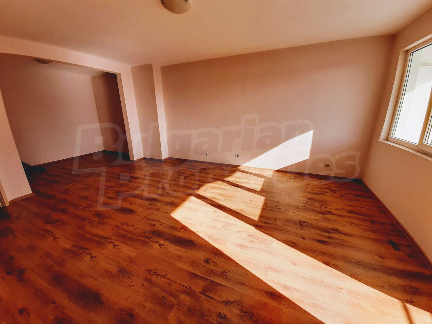 Gallery Picture 11