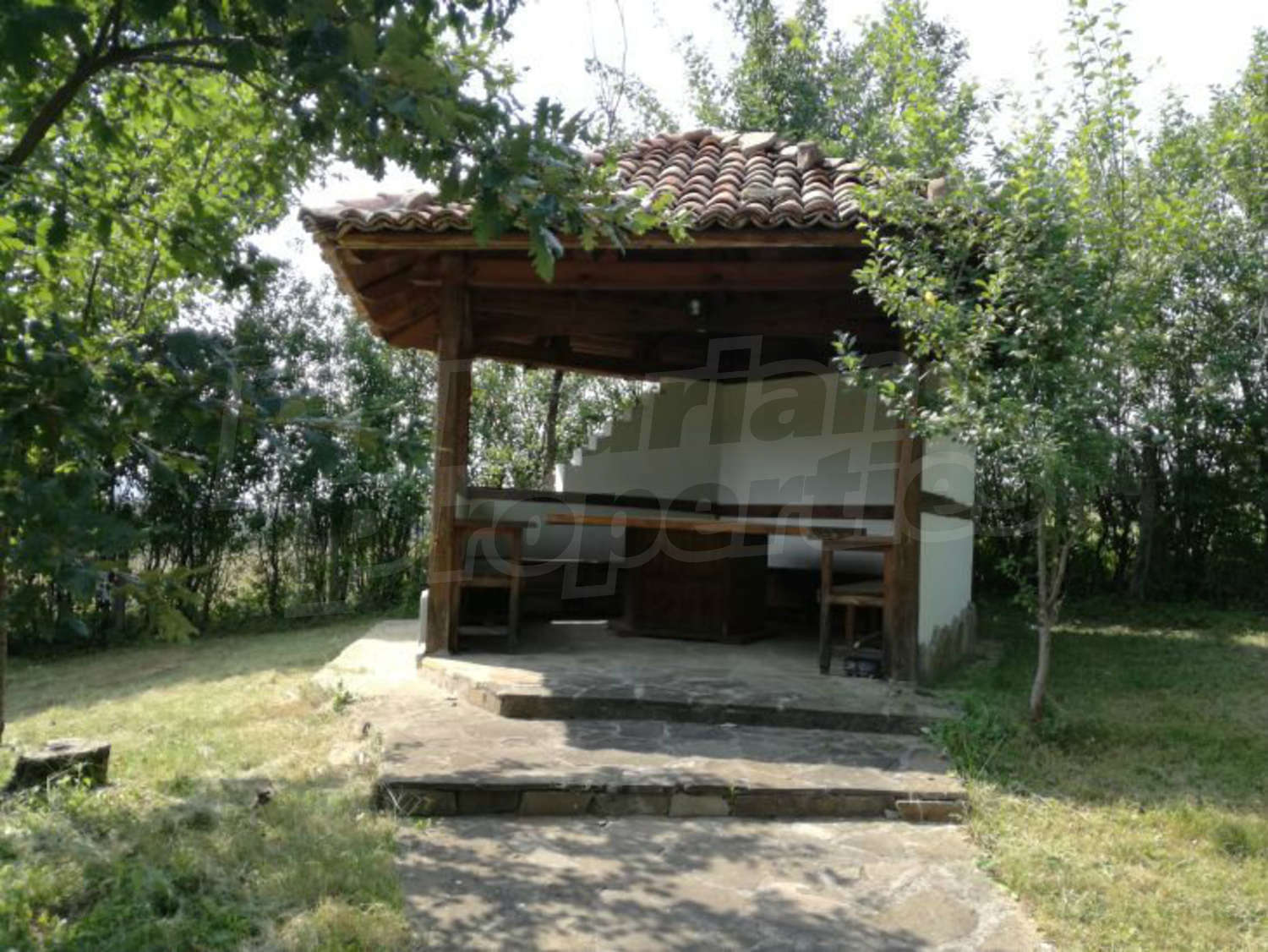 Gallery Picture 14