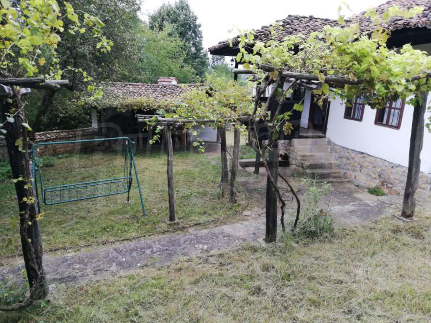 Gallery Picture 16