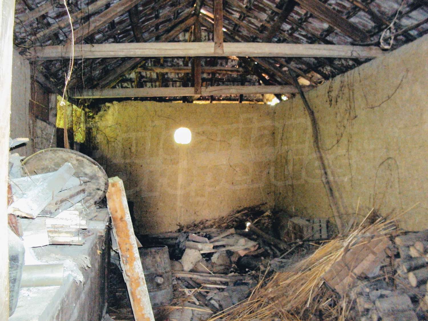 Gallery Picture 12