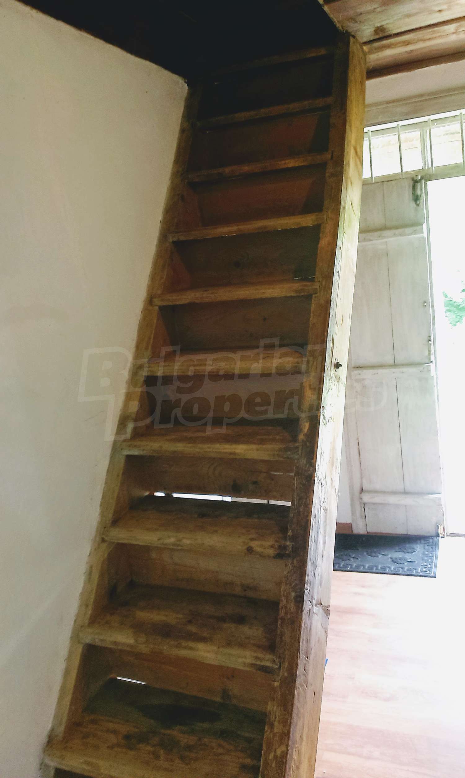 Gallery Picture 13