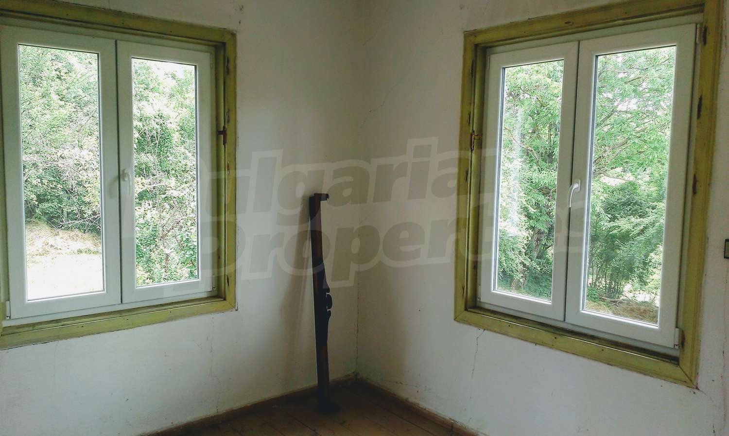 Gallery Picture 15